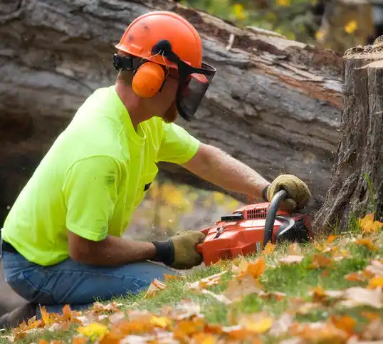 tree services Seven Hills